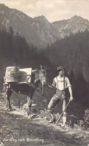 B099 Deutschland Weg nach Bruendling Pferd Bauer Tracht RPPC Postkarte