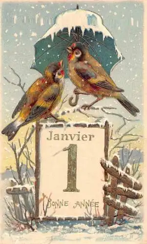 B101 Neujahrsgrüße 1905 Schwalbe Vogel unter Regenschirm Schnee Prägepostkarte