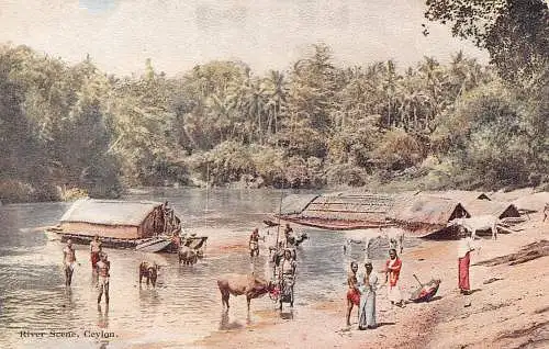 Sri Lanka Ceylon Fluss Szene Ureinwohner Boote Vintage Postkarte