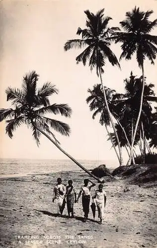 Sri Lanka Ceylon Stampfen über den Sand Mädchenstrand RPPC Postkarte