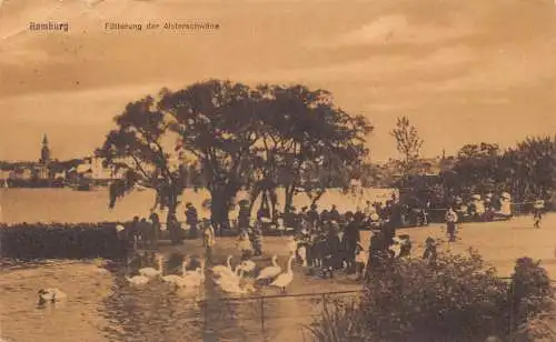 Deutschland Hamburg 1919 Futterung der Alsterscwaene Schwäne Vintage Postkarte
