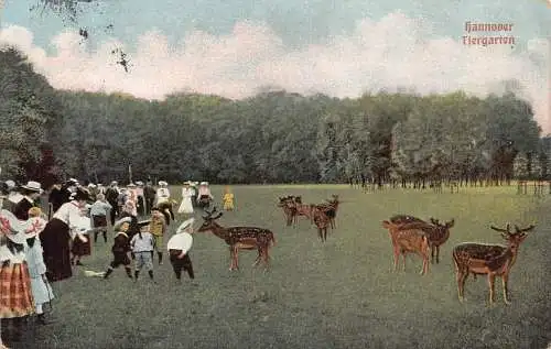 Deutschland Hannover Hannover 1908 Tiergarten Hirsch Kinder Vintage Postkarte