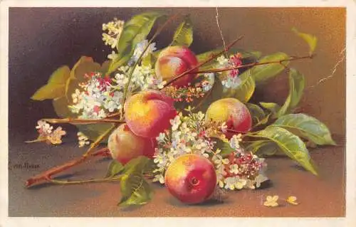 B106 Stillleben Natur Kunst Pfirsiche und Fliese Blumen Vintage Postkarte