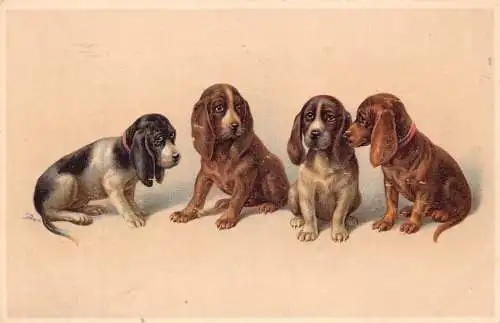 B104 Tiere 1917 Hunde Welpen der Rasse Cocker Spaniel Vintage Postkarte