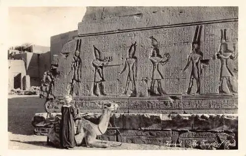 Ägypten Karmak Tempel der Opet Kamel Beduine Vintage Postkarte