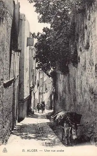A616 Algerien Alger Algier Rue Arabe Arab Street Donkey Vintage Postkarte