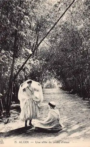 A617 Algerien Algier Alger Allee du Jardin d'essai Trachten Postkarte