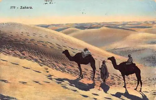 A618 Tunesien Sahara 1914 Beduinen auf Kamelen Reisen Ethno Postkarte