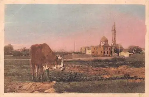 A621 Ägypten Alexandria Sidi Gaber Moschee Rinder Kuh Postkarte