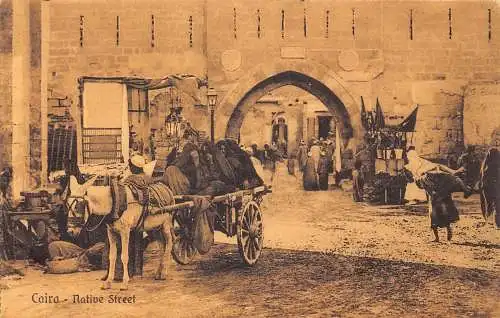 A621 Ägypten Kairo Ureinwohner Straße Eselwagen Transport Ureinwohner Frauen Postkarte