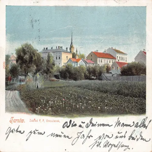 B108 Polen 1900 Tarnow Zakland PP Urszulanek Gesamtansicht Postkarte