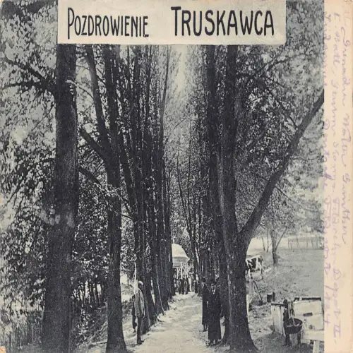 B110 Polen 1917 Pozdrowienie Truskawca Alley WWI Feldpostkarte