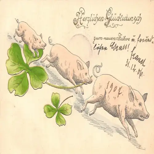 B113 Glücksgrüße 1907 Schweine laufen über Kleeblätter geprägte Postkarte