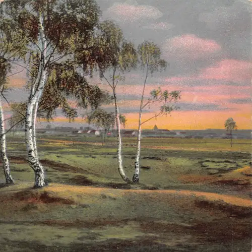 A631 Landschaft 1919 Birkenbäume auf Feld bei Sonnenuntergang Vintage Postkarte