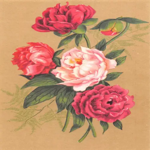 A632 Frühling Wildrosen Blumen Vintage Postkarte