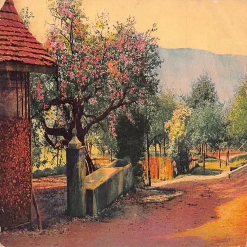 A633 Landschaft 1916 Dorfansicht Blütenbaum Brunnen Vintage Postkarte