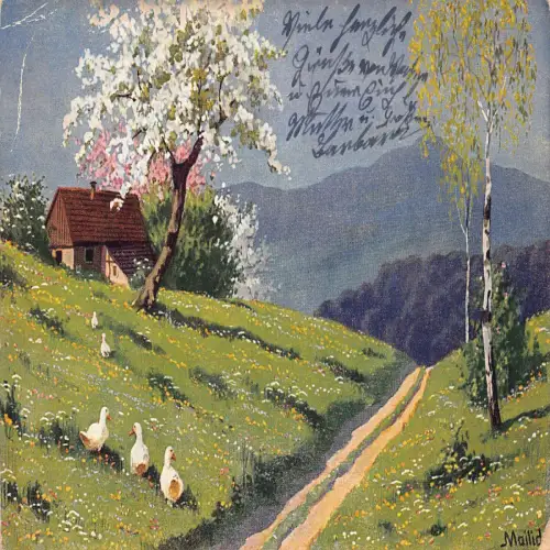 A633 Landschaftliche Landschaft 1921 Gans im Gras blühende Bäume Haus Postkarte