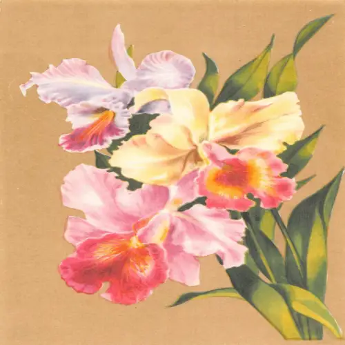 A635 Frühlingsgrüße Bunte Iris Blumen Vintage Postkarte
