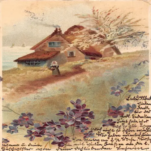 A635 Idyllische Ansicht 1904 Veilchen Blumen Bauernmädchen Haus Vintage Postkarte