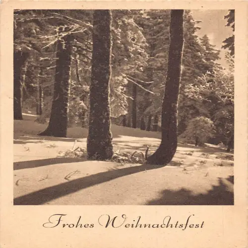 A635 Weihnachtsgrüße Winter im Wald Schnee Vintage Postkarte
