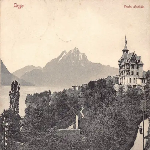 A638 Schweiz 1907 Weggis Pension Alpenblick alte Postkarte