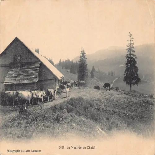 A639 Schweiz La Rentree au Chalet Rinder Vintage Postkarte