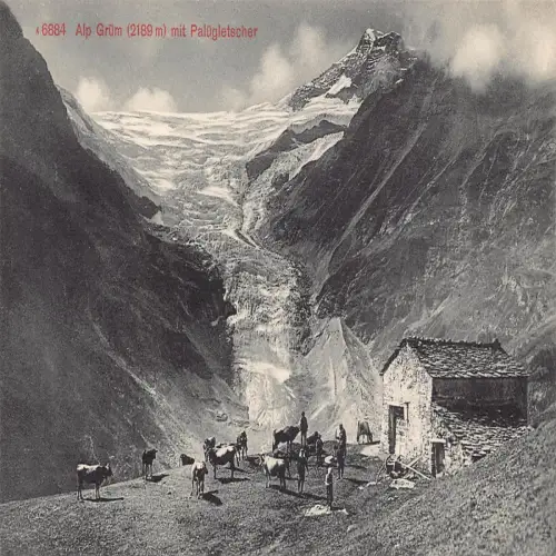 A639 Schweiz Alp Gruem mit Paluegletscher Viehhhhütte Vintage Postkarte