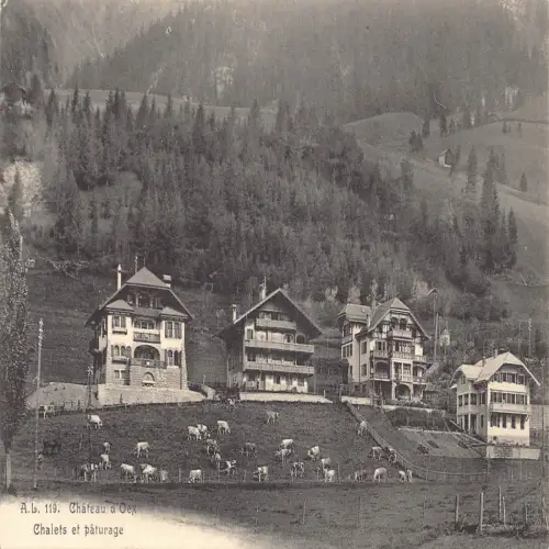 A639 Schweiz Chateau d'Oex Chalets et Paturage Rinder Vintage Postkarte