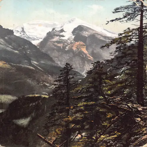 A640 Schweiz 1911 Berge Bamhorn Alsels Vintage Postkarte