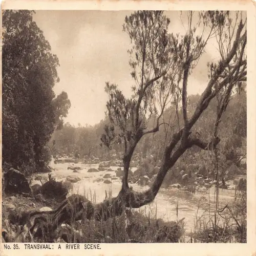 A643 Südafrika Transvaal Fluss Szene Vintage Postkarte