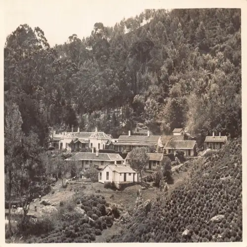 A643 Neuseeland Brooklands Conor Missionary Home RPPC Vintage Postkarte