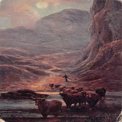 B117 Tiere Landschaft Stiere Herde durchquert Flusstal Vintage Postkarte