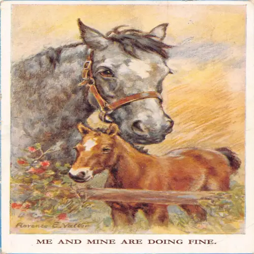 B117 Tiere 1948 Me and Mine are doing Fine Florence E Valler Pferde Postkarte