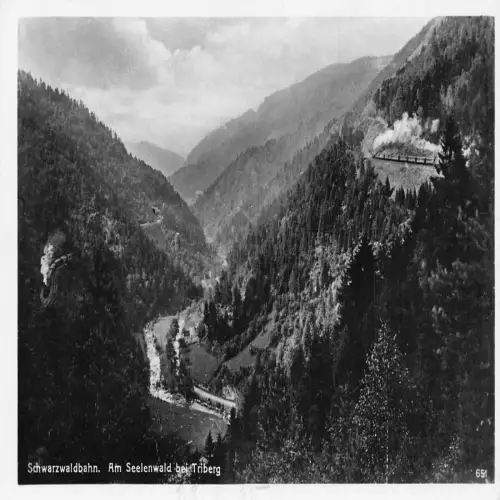 B119 Deutschland Schwarzwaldbahn Seelenwald Wald Dampflok RPPC Vintage Postkarte