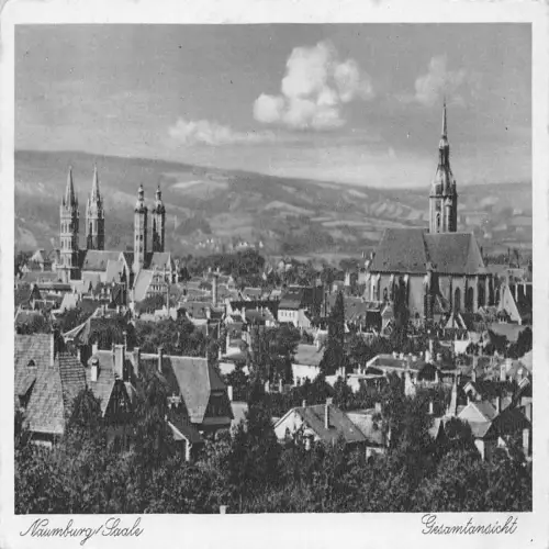 B119 Deutschland Naumburg Saale Gesamtansicht Vintage Postkarte