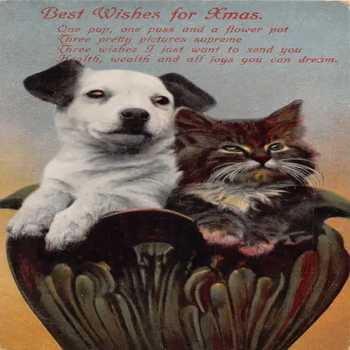B117 Weihnachtsgrüße Welpe und Kätzchen in Tasse Tiere Vintage Postkarte