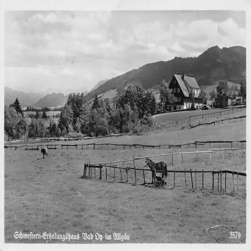 B120 Deutschland Westliches Erholungshaus Bad On im Allgäu Pferd RPPC Postkarte