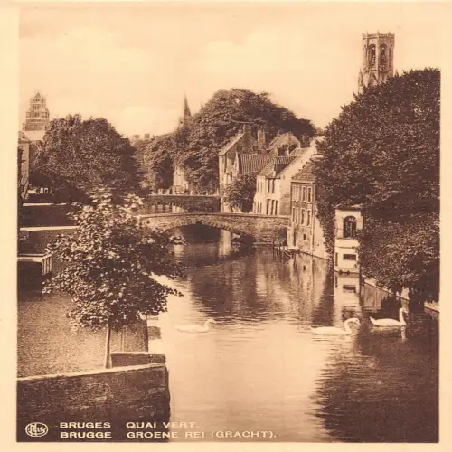 A646 Belgien Brügge Brügge Quai Vert Vintage Postkarte