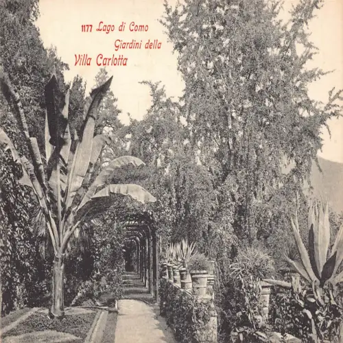A651 Italien Lago di Como Giardini della Villa Carlotta Garten Vintage Postkarte