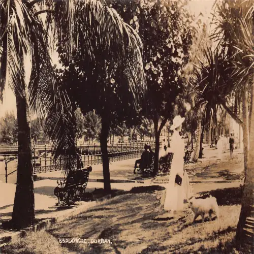 A667 Südafrika Durban Esplanade Hund Frau Bänke RPPC Vintage Postkarte