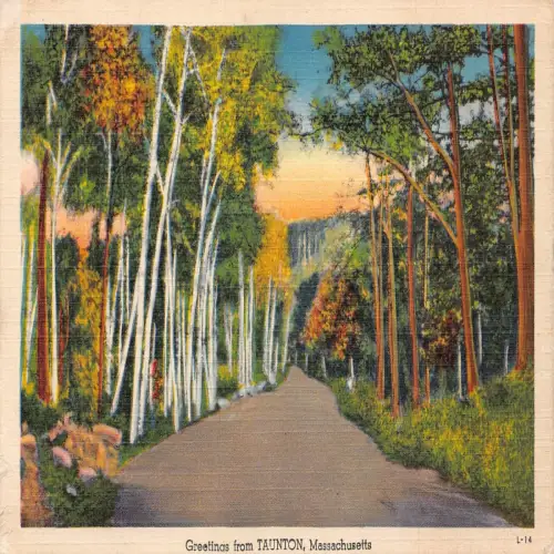 A672 US Massachusetts Greetings from Taunton Vintage Postkarte