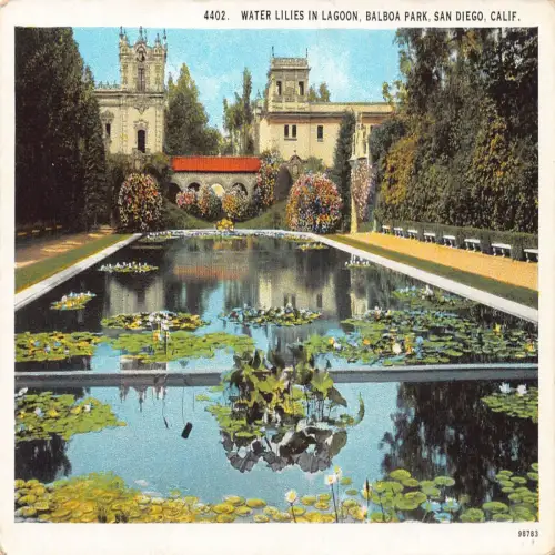 A673 US Kalifornien San Diego Seerosen in Lagoon Balboa Park Postkarte