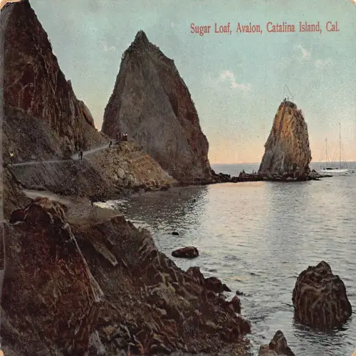 A673 US Kalifornien Santa Catalina Island Zuckerhut Avalon Postkarte