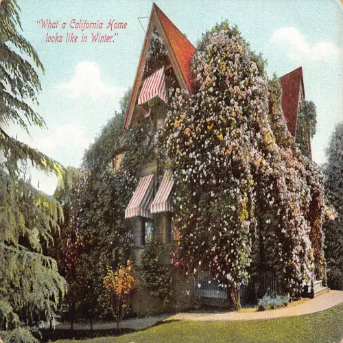 A674 USA Wie ein kalifornisches Zuhause im Winter aussieht Rosen Blumen Postkarte