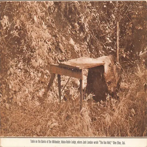 A674 US Kalifornien Glen Ellen Table Banks of Wildwater Wake-Robin Lodge Postkarte