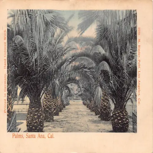 A674 US California Santa Ana Palms Vintage Postkarte