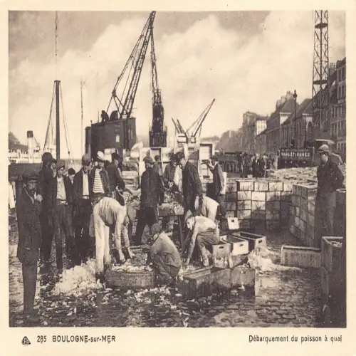 A678 Frankreich Boulogne sur Mer Debarquement du Poisson a quai Fischer Postkarte