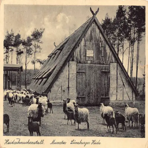 B118 Deutschland 1937 Heidschnuckenstall Münster Lüneburger Heide Schaf Postkarte
