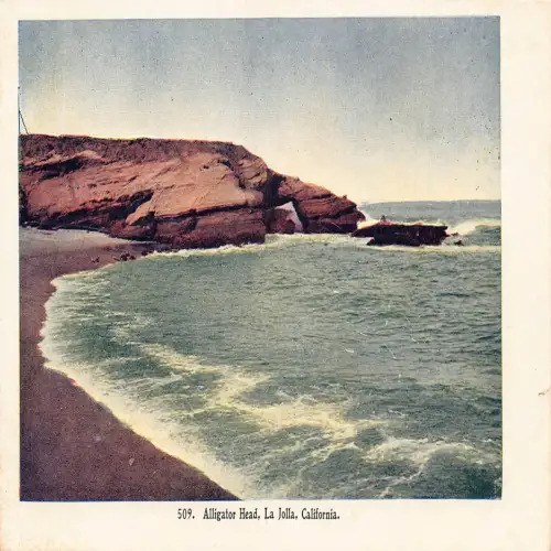 A679 US Kalifornien La Jolla Alligator Head Vintage Postkarte
