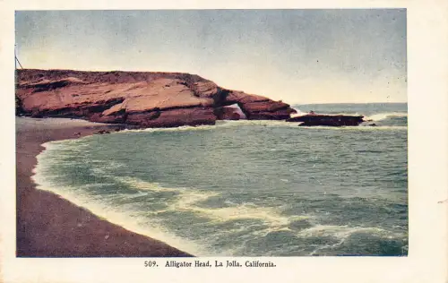 A679 US Kalifornien La Jolla Alligator Head Vintage Postkarte